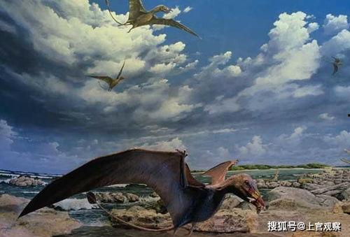 风神翼龙最新爆料视频,揭秘神秘生物的进化之谜 第2张 风神翼龙最新爆料视频,揭秘神秘生物的进化之谜 第2张