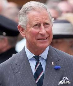 英国查尔斯爆料视频大全,揭秘王室不为人知的秘密  第2张