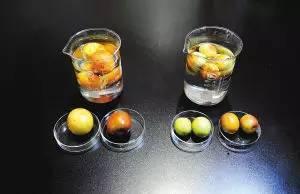 甜蜜素爆料视频,揭秘食品添加剂背后的真相 第3张 甜蜜素爆料视频,揭秘食品添加剂背后的真相 第3张